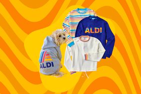 a collage featuring a dog wearing an Aldi hoodie and 3 Aldi sweaters featured in the new collection